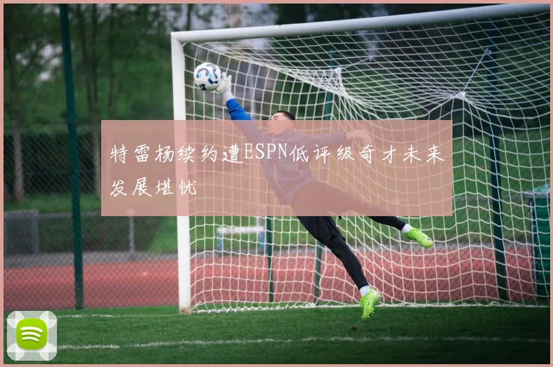 特雷杨续约遭ESPN低评级奇才未来发展堪忧