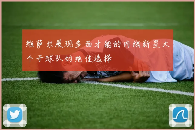 维萨尔展现多面才能的内线新星大个子球队的绝佳选择