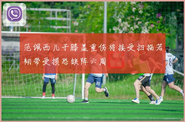 范佩西儿子膝盖重伤将接受扫描若韧带受损恐缺阵六周